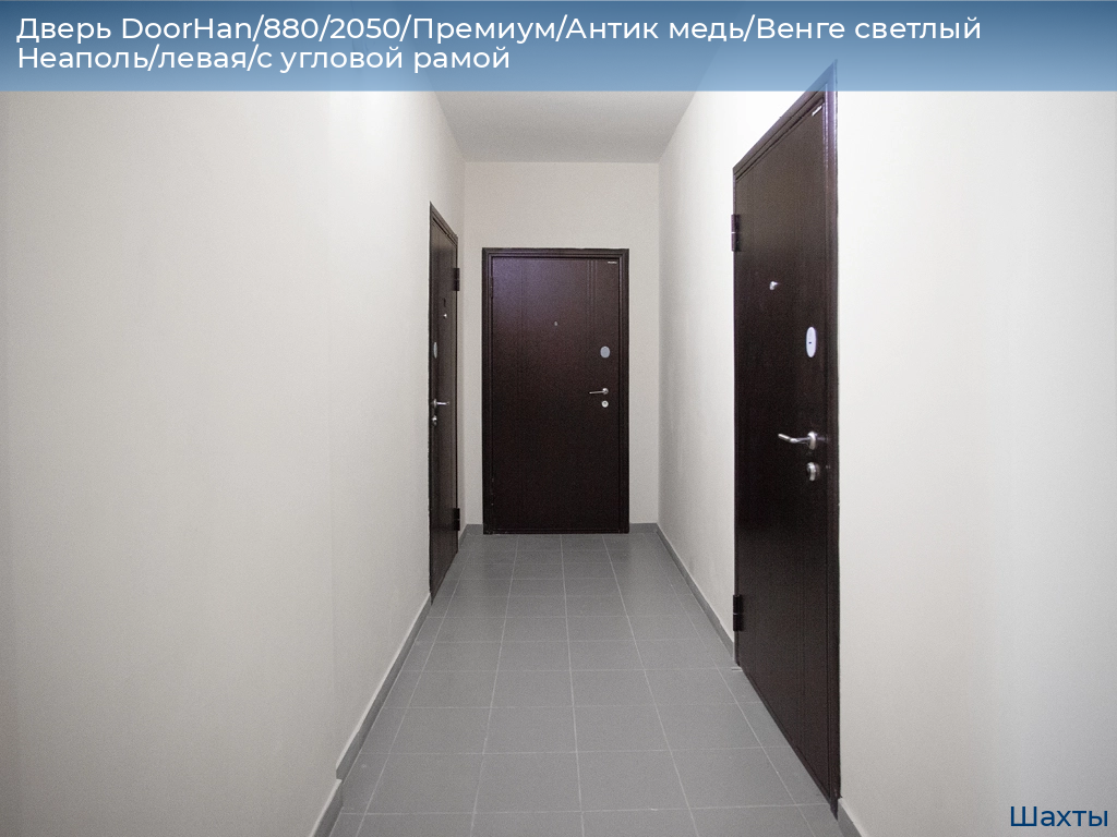 Дверь DoorHan/880/2050/Премиум/Антик медь/Венге светлый Неаполь/левая/с угловой рамой, shahty.doorhan.ru