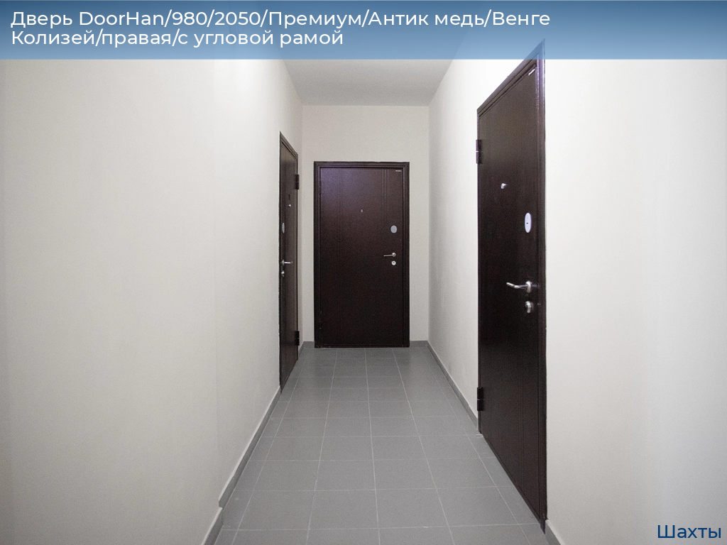 Дверь DoorHan/980/2050/Премиум/Антик медь/Венге Колизей/правая/с угловой рамой, shahty.doorhan.ru