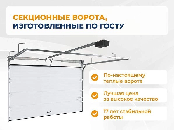 Cекционные ворота 3000х2850 мм антрацитовые DoorHan RSD02, shahty.doorhan.ru